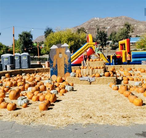 moapa valley pumpkin patch